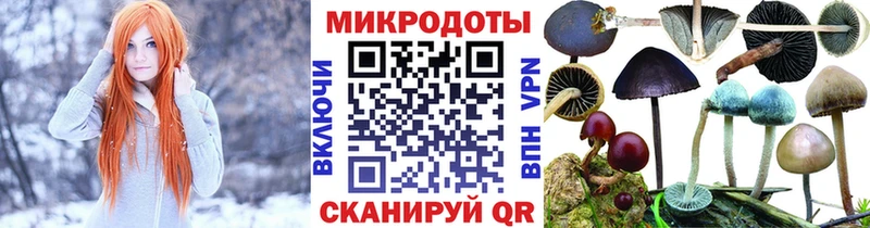 Псилоцибиновые грибы Psilocybine cubensis  Гремячинск 