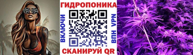 MEGA онион Гремячинск Шишки марихуана конопля
